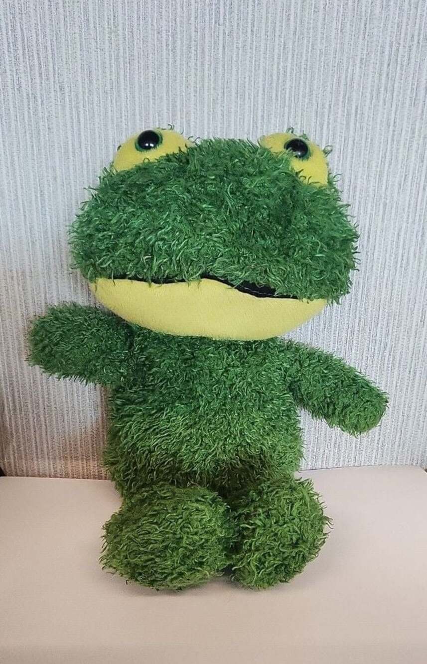 Steven Smith Stuffed Animals Inc. Green Shaggy Plush Frog Toy